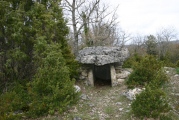 Petit Dolmen du Ferrussac - PID:6629