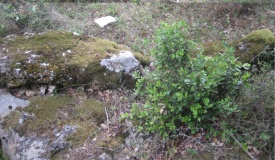 Menhir du Tresbals