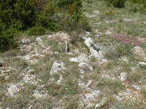 Dolmens du Bosc Gamasso