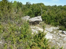 Dolmen du Mas de Jourde