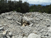 Dolmen du Grand Bois