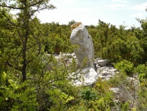 Menhir Plan de Ceisse 4