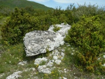 Menhir de St. Geniez