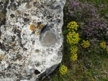 Menhir du Col de Médigout