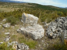 Vernede menhir