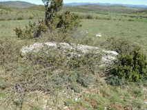 Menhir de la Vernède 7