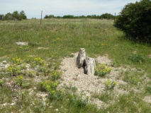 Menhir de la Canourgue 2