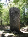 Statue menhir de Picarel