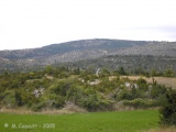 Menhir de Landre 1