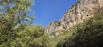 Grotte de L'Hortus