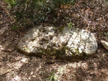 Menhir Côte d'Arboras