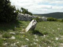 Menhir des Buissières