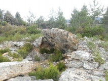 Grandmont Dolmen 2