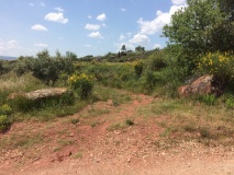 Menhir dit la Peyre Drèche