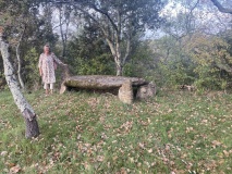 Dolmen Table des Combes