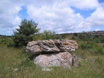 Dolmen de Gras (Lanuéjols)