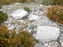 Dolmen de la Roque (12)