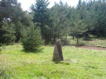 Menhirs de la Fage A