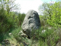 Menhir dit la Pierre du Druide