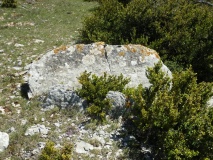 Dolmen du Signal de la Roque 6