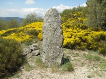 Menhirs des Fosses