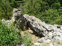 Dolmen Jasse de Canaguier