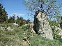 Pèlerins menhir
