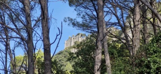 Chateau de La Roquette ou Vivioures