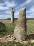 Menhirs du Champ Ferrier