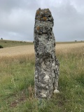 Menhir de Costeguison
