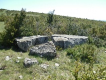 Serre de la Tune menhir