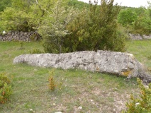 Menhir Sotch de Génièvres