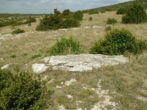 Menhir Saut du Lièvre