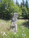 Menhir du Plot de la Fage 1