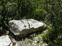 Menhir du Travers des Pioch
