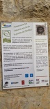 Grotte de L'Hortus
