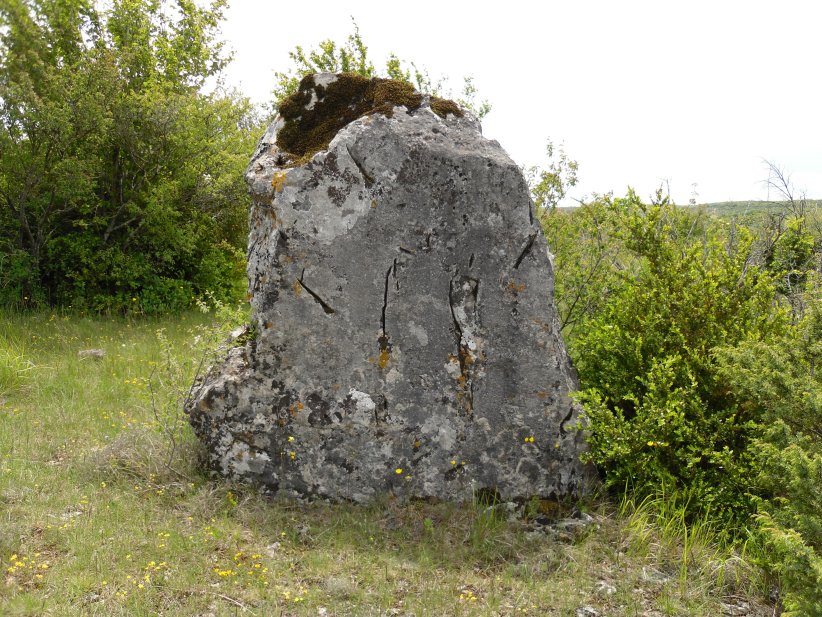 Menhir des Gamboules