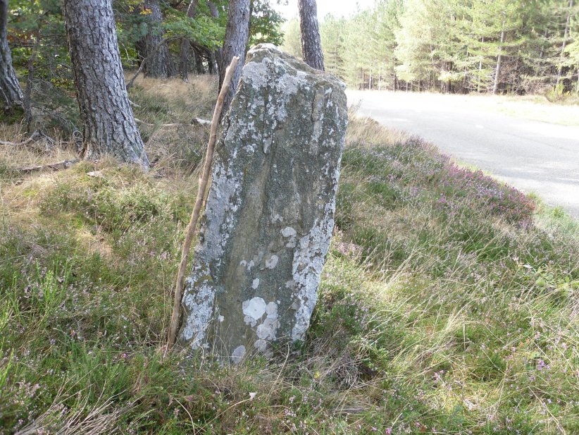 Click for the gallery page to add comments and vote (PID:139899) Serre-Long menhir