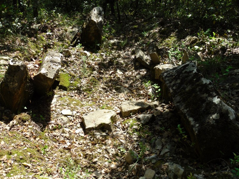 Click for the gallery page to add comments and vote (PID:90248) Dolmen de la Lèque