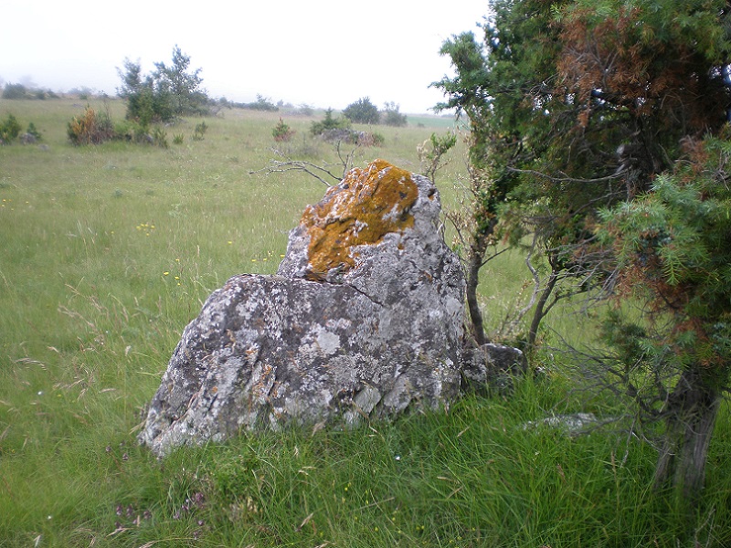 Click for the gallery page to add comments and vote (PID:182349) Barjac menhir 1