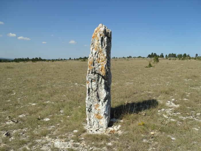 Menhir de Fraissinel