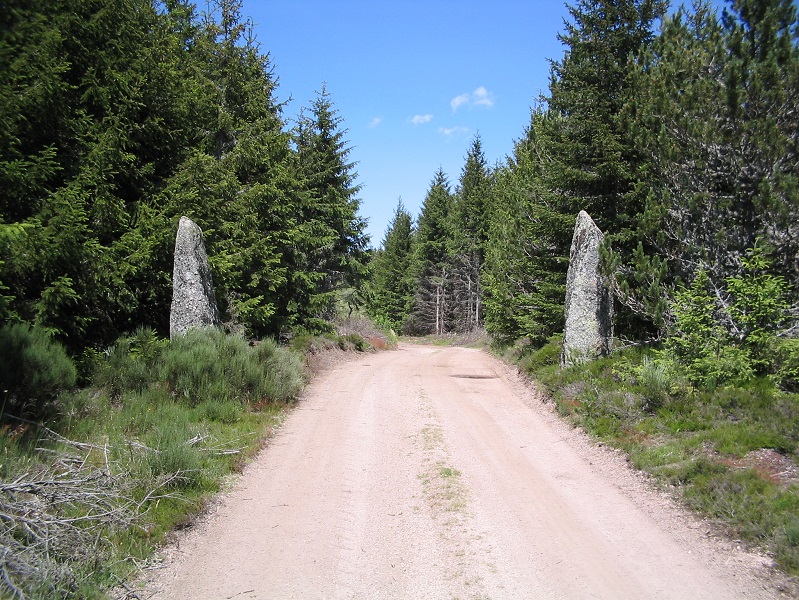 Menhir du Plot de la Fage 2