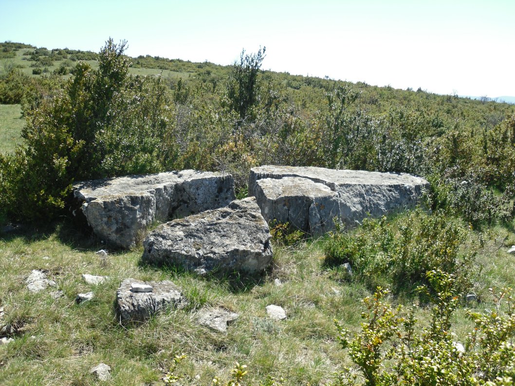 Serre de la Tune menhir (PID:134280) Serre de la Tune menhir