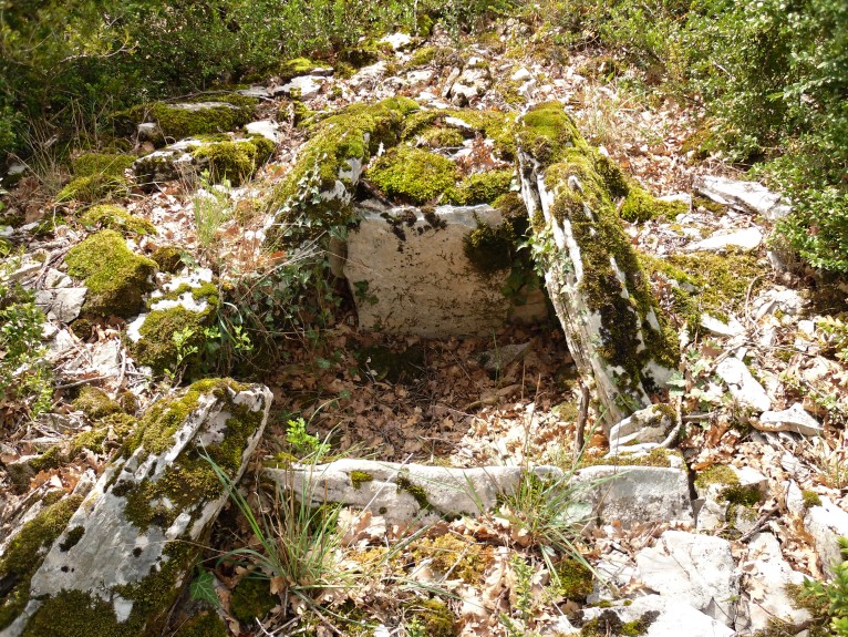Dolmens de Jasse Nove
