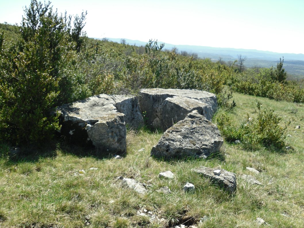Click for full size image of Serre de la Tune menhir (PID:134281) Serre de la Tune menhir
