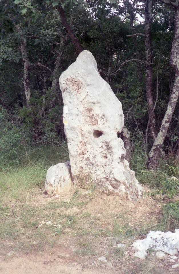 Click for the gallery page to add comments and vote (PID:209854) Menhir de Méjannes