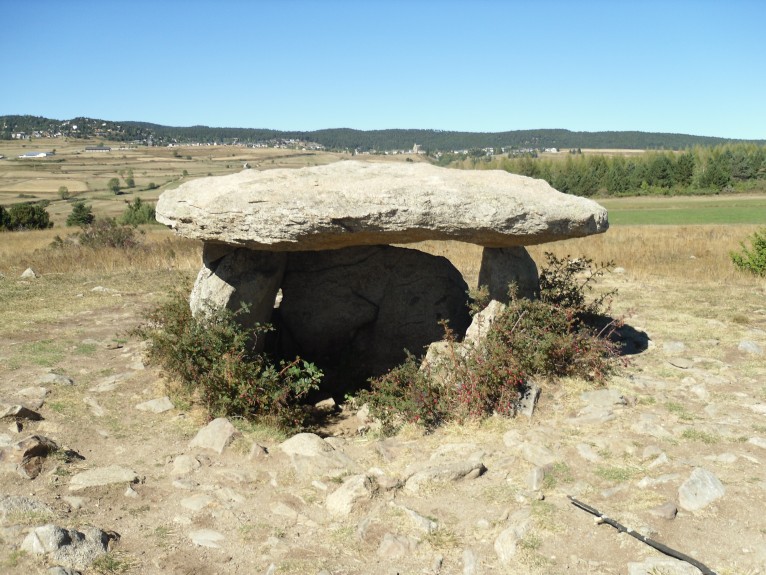 Click for the gallery page to add comments and vote (PID:97113) Dolmen de Pascarets