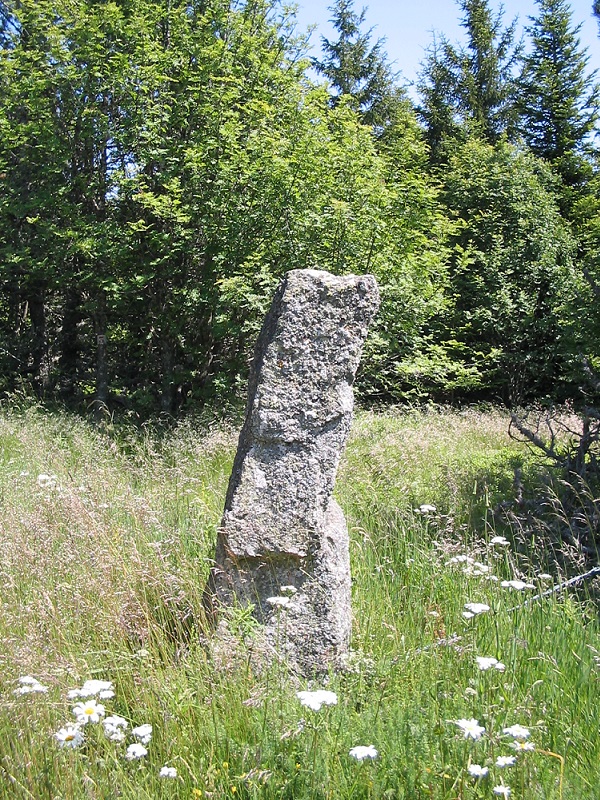 Click for the gallery page to add comments and vote (PID:187544) Menhir du Plot de la Fage 1