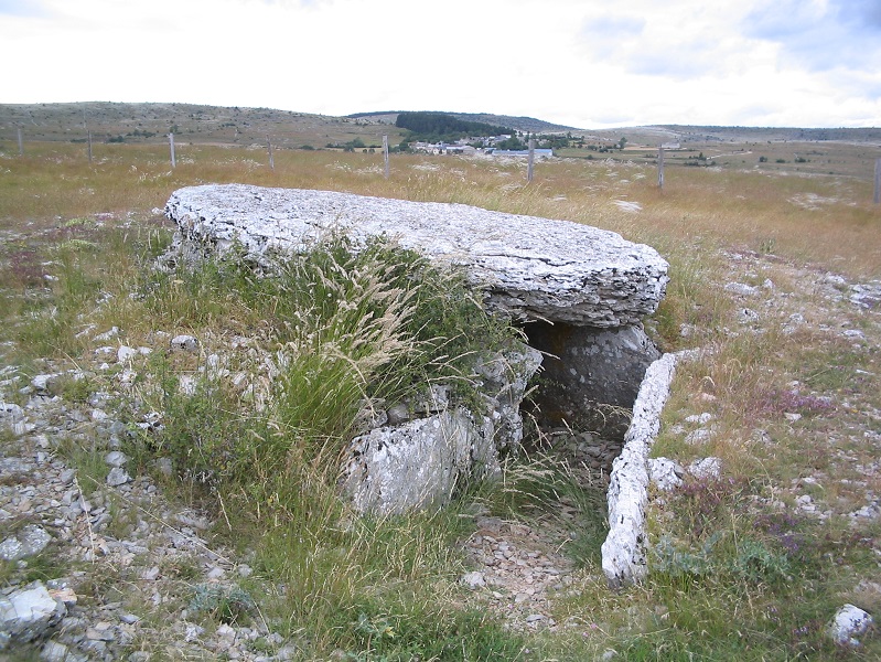 Click for the gallery page to add comments and vote (PID:187542) Dolmen dit le Tombeu dau Geïon