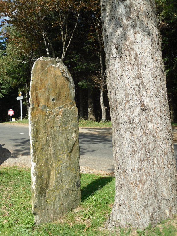 Menhir de Plan-de-Fontmort